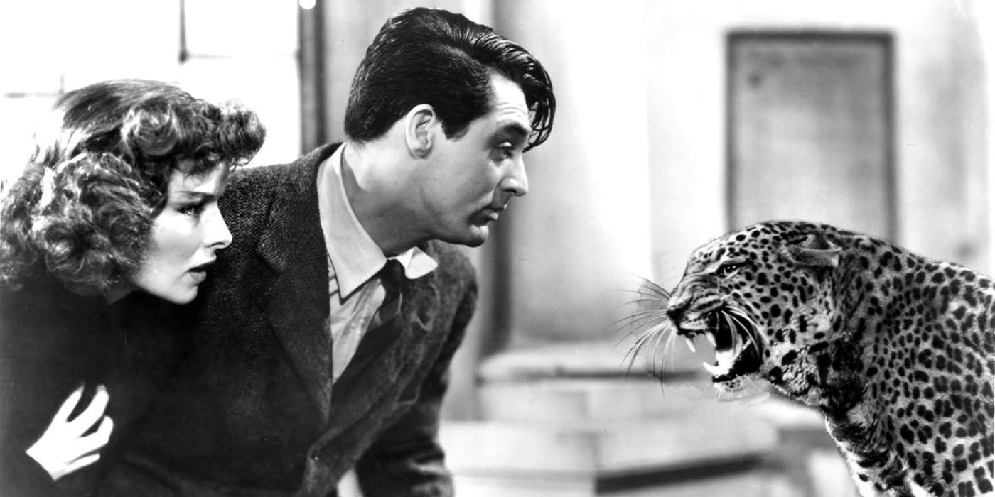 Cary Grant and Katharine Hepburn looking at a leopard in Bringing Up Baby