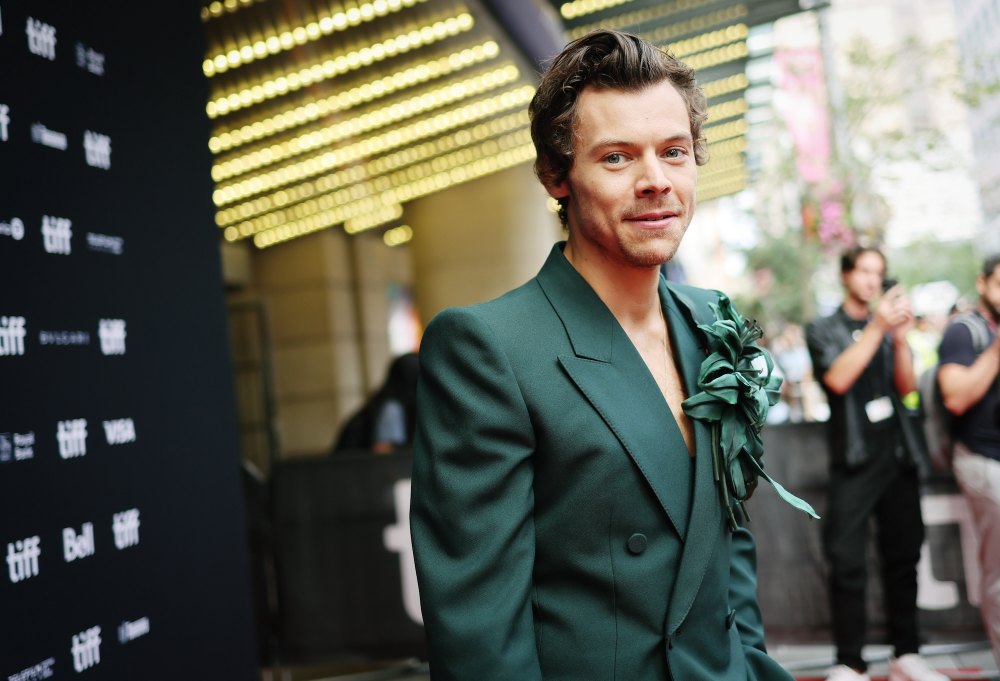 Harry Styles Spotted Kissing Mystery Woman After Taylor Russell Split