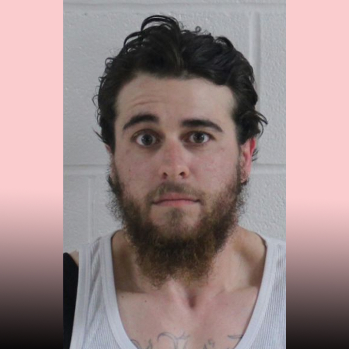 Taylor Marvin-Brown Mugshot